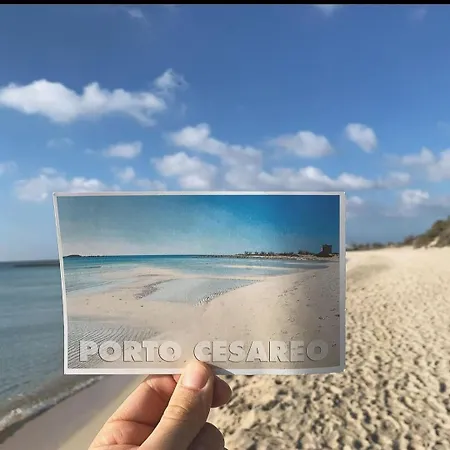 Holiday home Ginetta Torre Lapillo